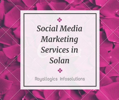 Social Media Marketing in Solan